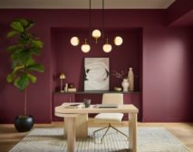 Behr Announces 2025 Color of the Year.jpg