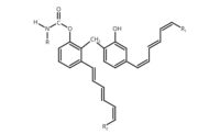 pci0119-Morell-F1-900.jpg