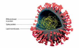 Anti-Viral Surface Coating to Prevent the Spread of COVID-19 Through Touch