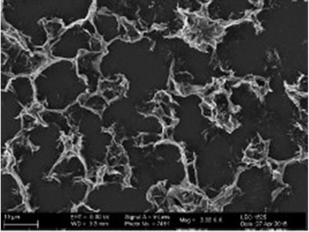 Use and effect of new rheology additives in coatings.