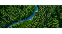 aerial view of a forest