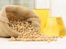 Choosing beans left over to care for the trial were extracted soya oil quality. laboratory atmosphere made it a place on the wooden floor.