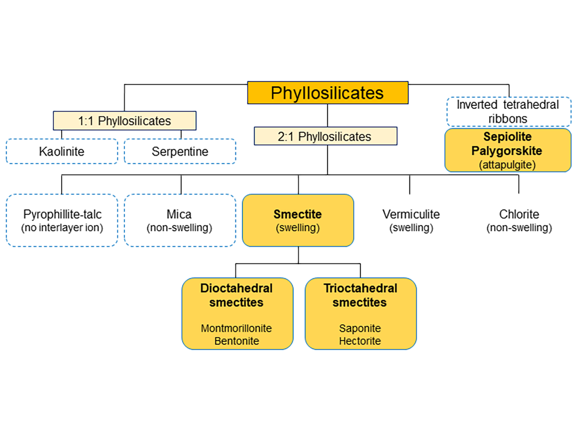 Division of sheet silicates (phyllosilicates).