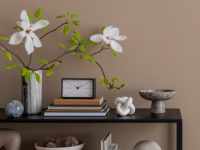 Minimalist composition of living room interior with copy space, black rack, brown wall, clock, vase with magnolia, marble bowl, books and personal accessories. Home decor. Template.