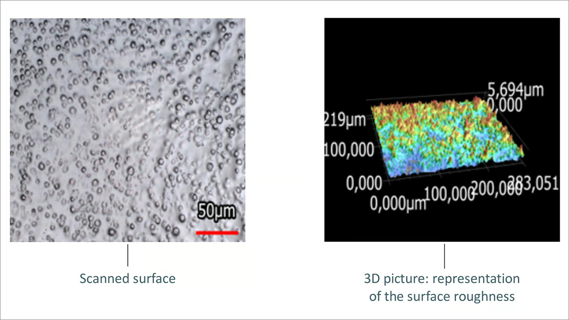 The matte effect: SEM pictures.