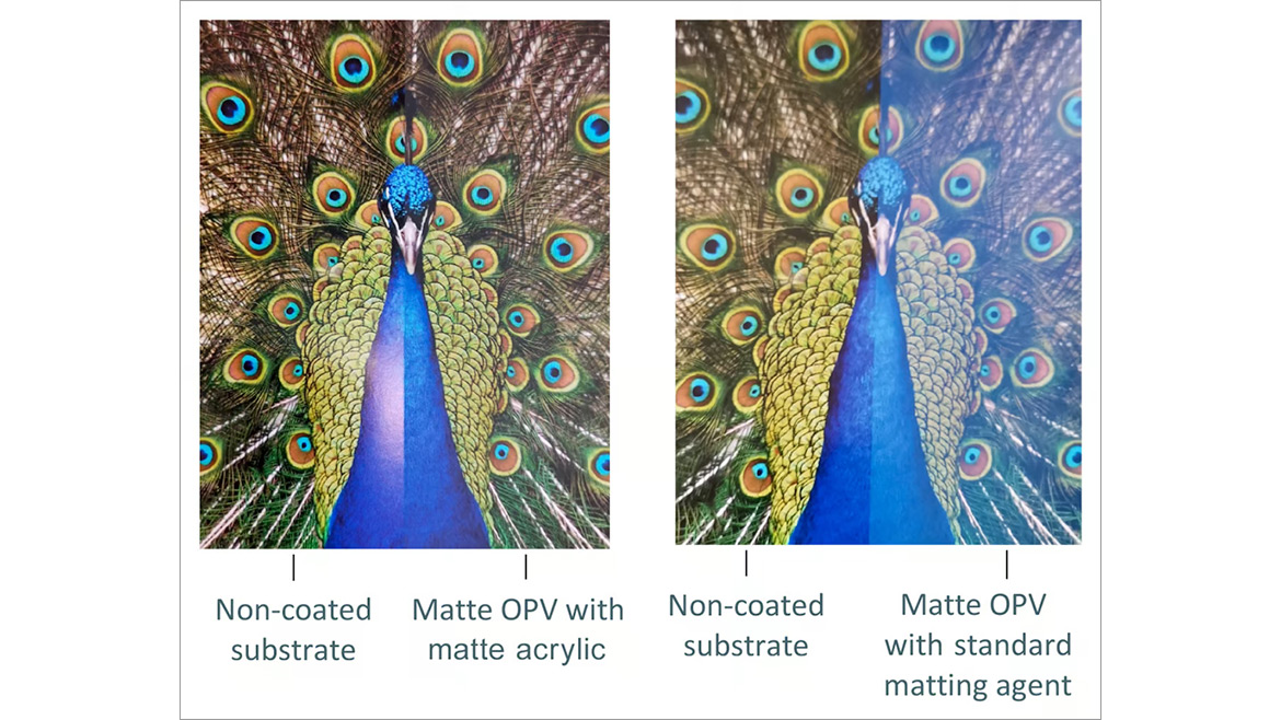 OPV with inherently matte polymer and conventional matting agent.