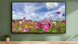 Flat screen television hanging on a wall in a living room with nature image on screen