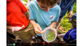 Photo of children looking at a leaf